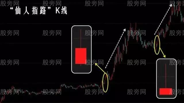 仙人指路超详细操作图解