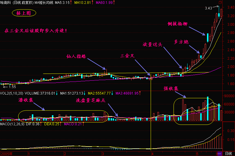 三金叉见底形态操作方法