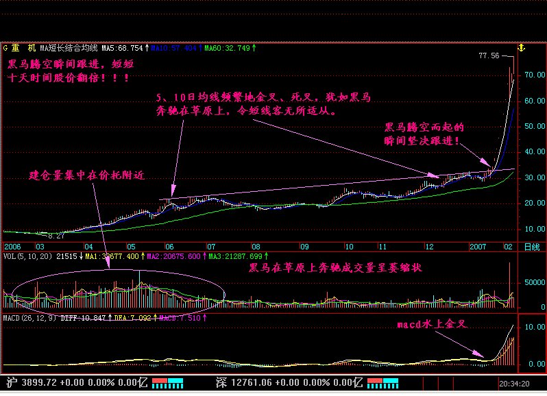 “黑马草上飞”形态买入法