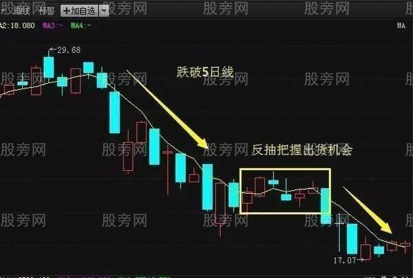 5日均线实用操盘方法