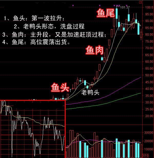 鱼头鱼肉鱼尾拉升三部曲