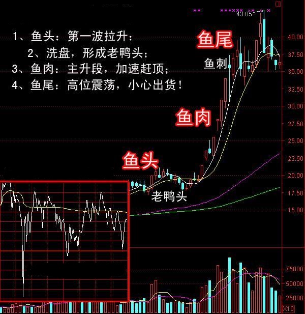 鱼头鱼肉鱼尾拉升三部曲