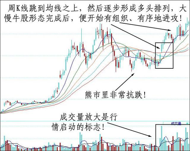 用周K线选出牛股