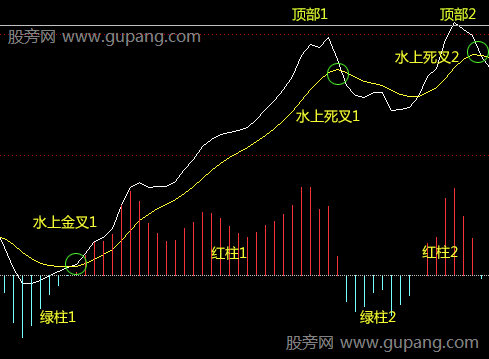 MACD指标双顶形态，MACD指标的黄白线与红绿柱及