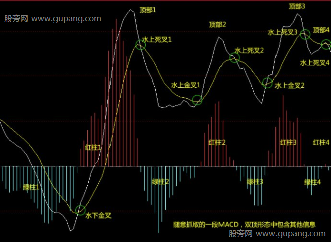 MACD指标双顶形态，MACD指标的黄白线与红绿柱及