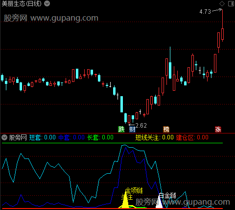 通达信筹码关注建仓指标公式