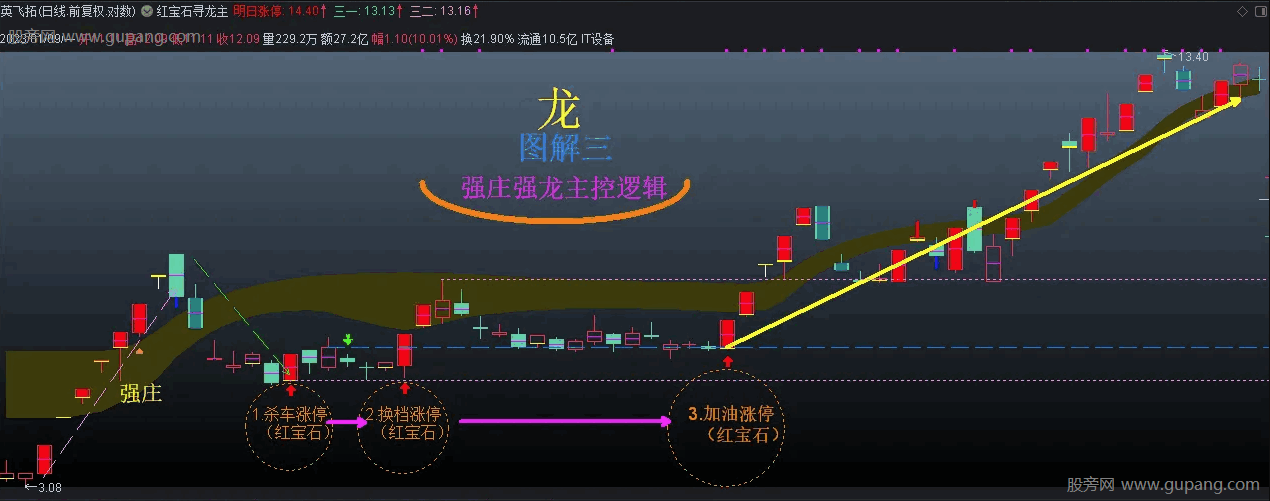 通达信红宝石寻龙主图指标公式