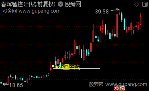 通达信缩量阳洗主图指标公式